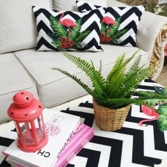 Tropikal Zigzag Desen 3 lü Kombin Set
