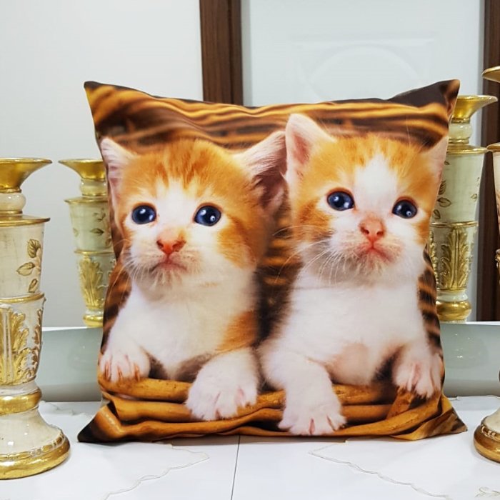 Animal Kedi Baskılı Kırlent Kılıfı 43x43cm