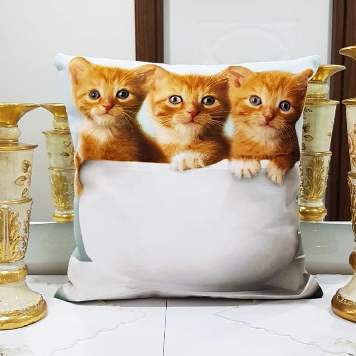 Animal Kedi Baskılı Kırlent Kılıfı 43x43cm